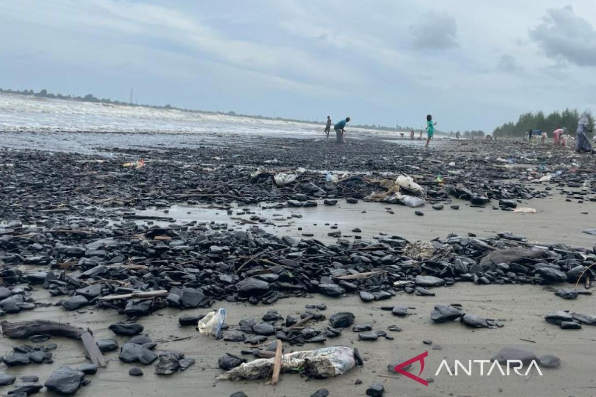 LSM mendesak Pemerintah Aceh tangani pencemaran batu bara di Aceh Barat