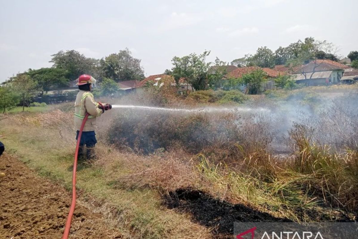 Petugas DPKP Sukabumi berhasil padamkan kebakaran lahan yang diduga ulah ODGJ