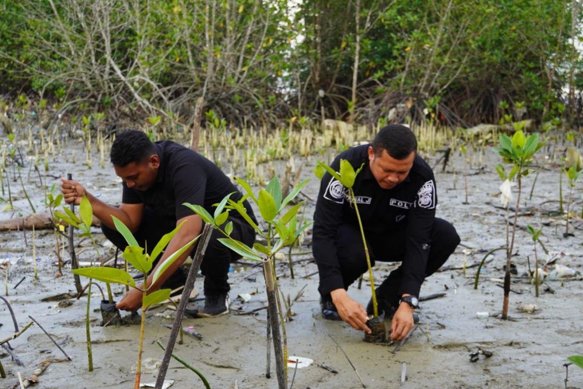 Bidhumas Polda Maluku tanam 100 anakan pohon mangrove