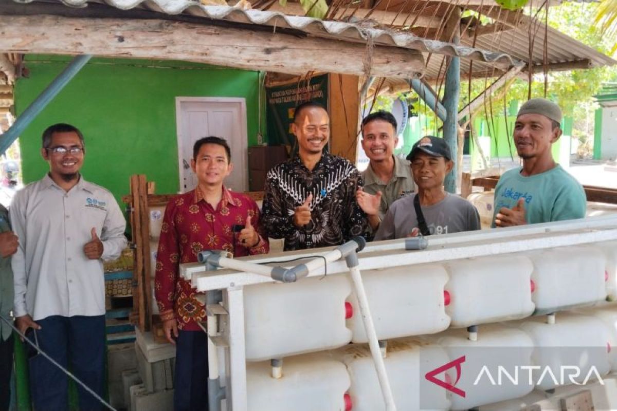 Dosen UBB ciptakan atraksi wisata dengan apartemen kepiting di pantai Takari