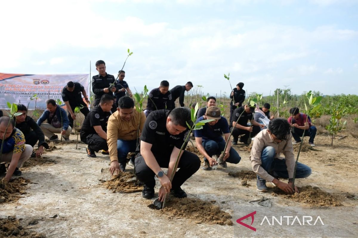 Polda Sulawesi Tenggara bersama insan pers tanam 1.000 pohon mangrove
