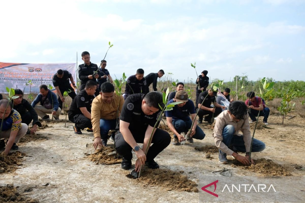 Polda Sultra bersama insan pers tanam 1.000 pohon mangrove di kawasan Teluk Kendari