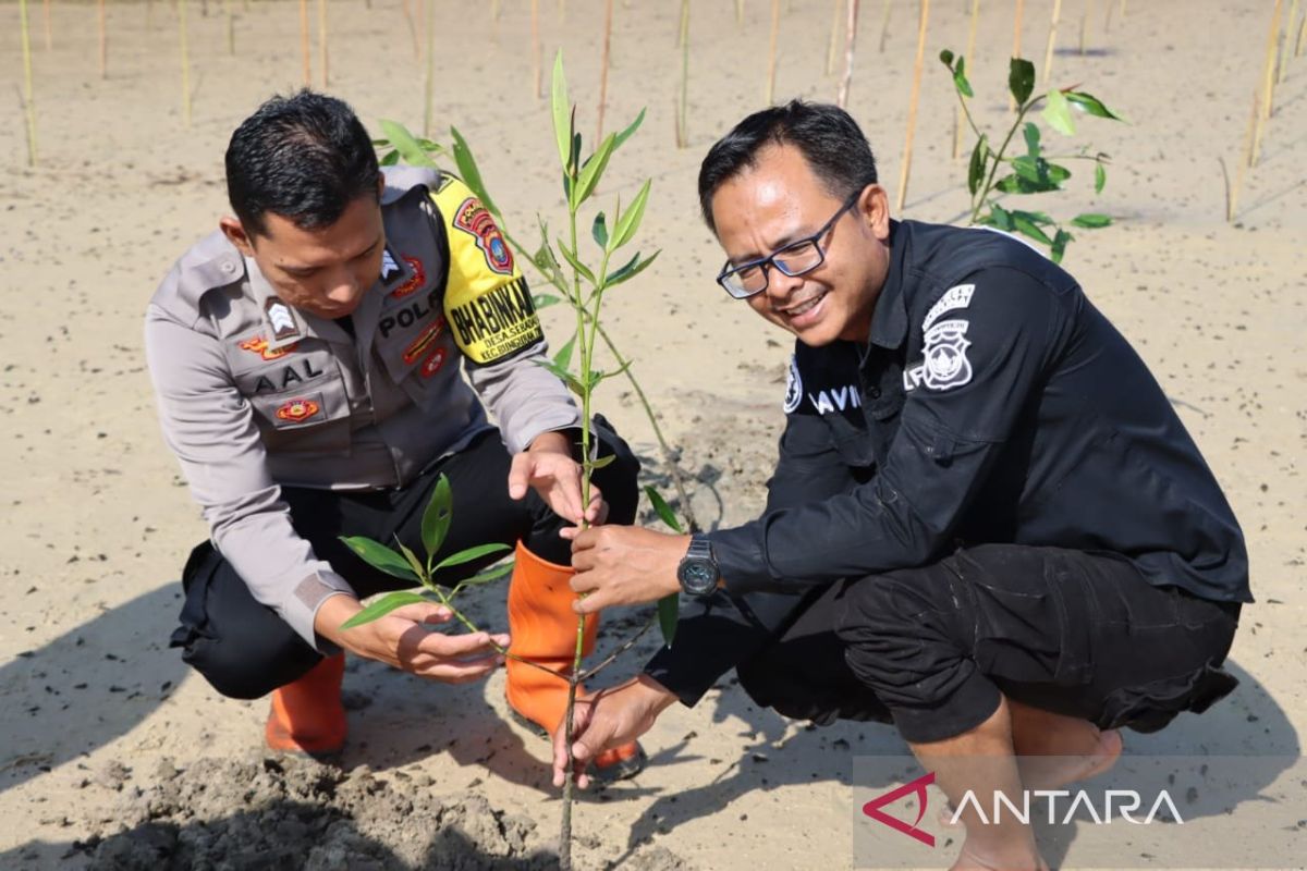 Polres Natuna tanam mangrove demi menjaga ekositem pantai