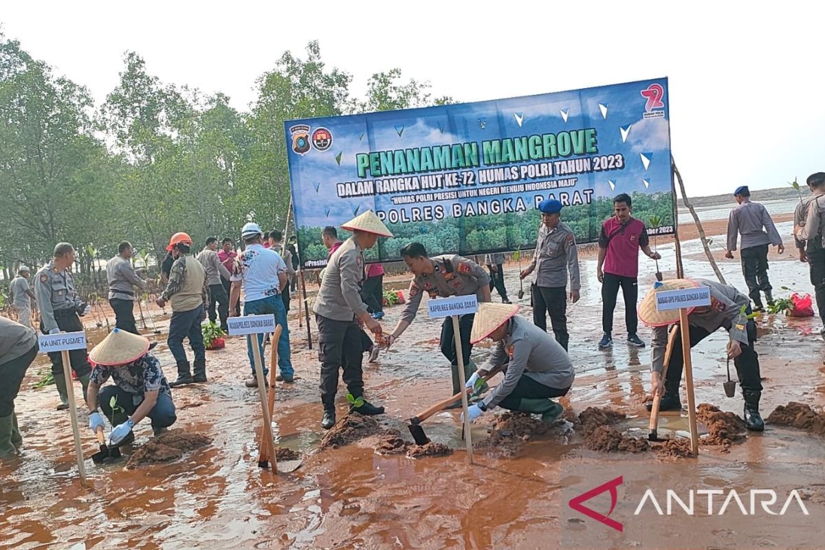 Polres Bangka Barat menanam mangrove di Pantai Peltim