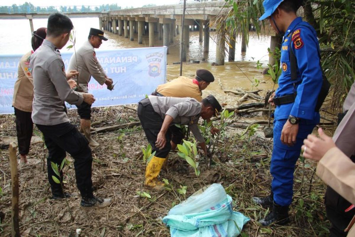 Polda Jambi Tanam 1.000 Bibit Pohon Mangrove Di Tanjung Jabung Timur ...