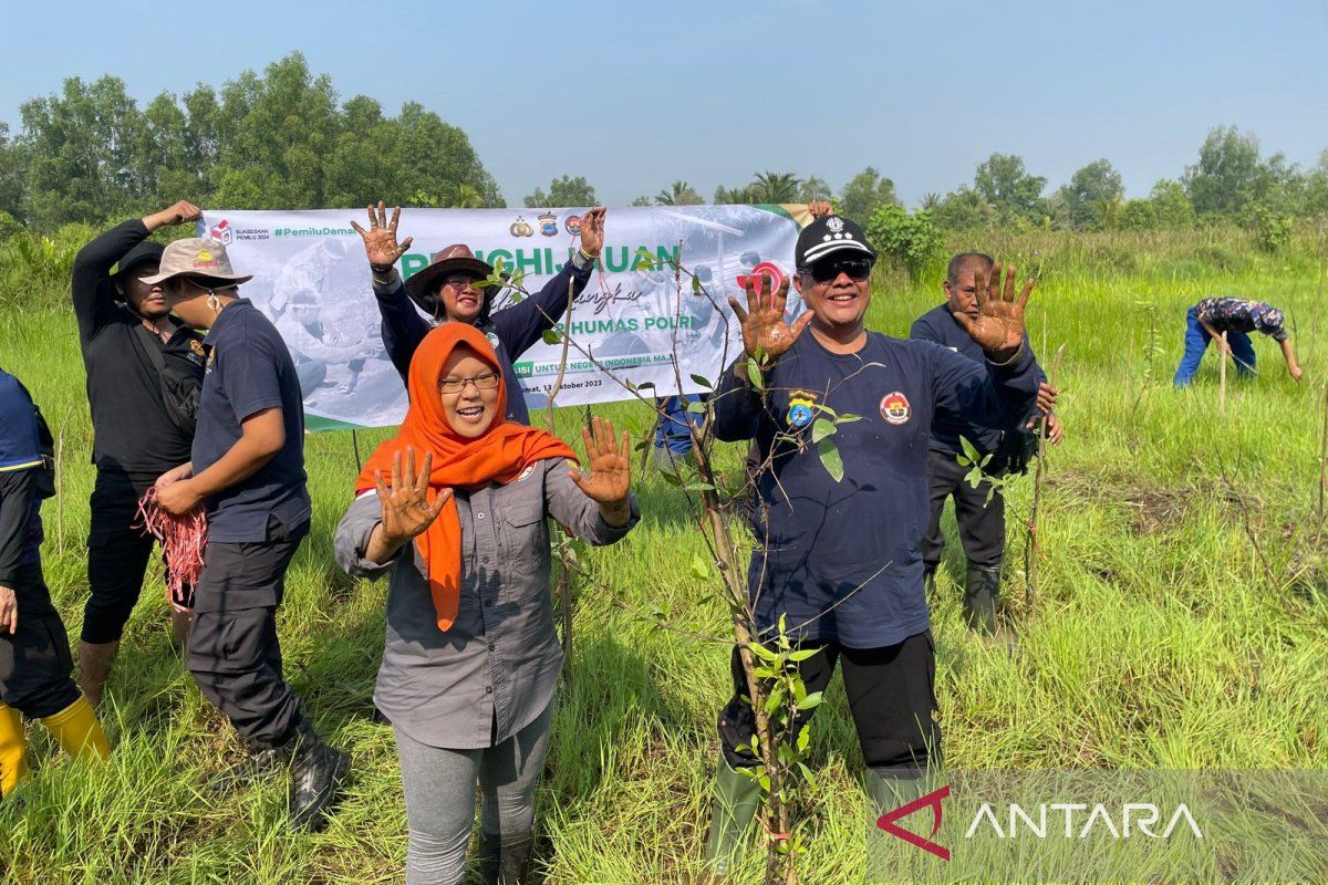 Polda Kalsel tanam 1.850 bibit rambai dukung restorasi mangrove