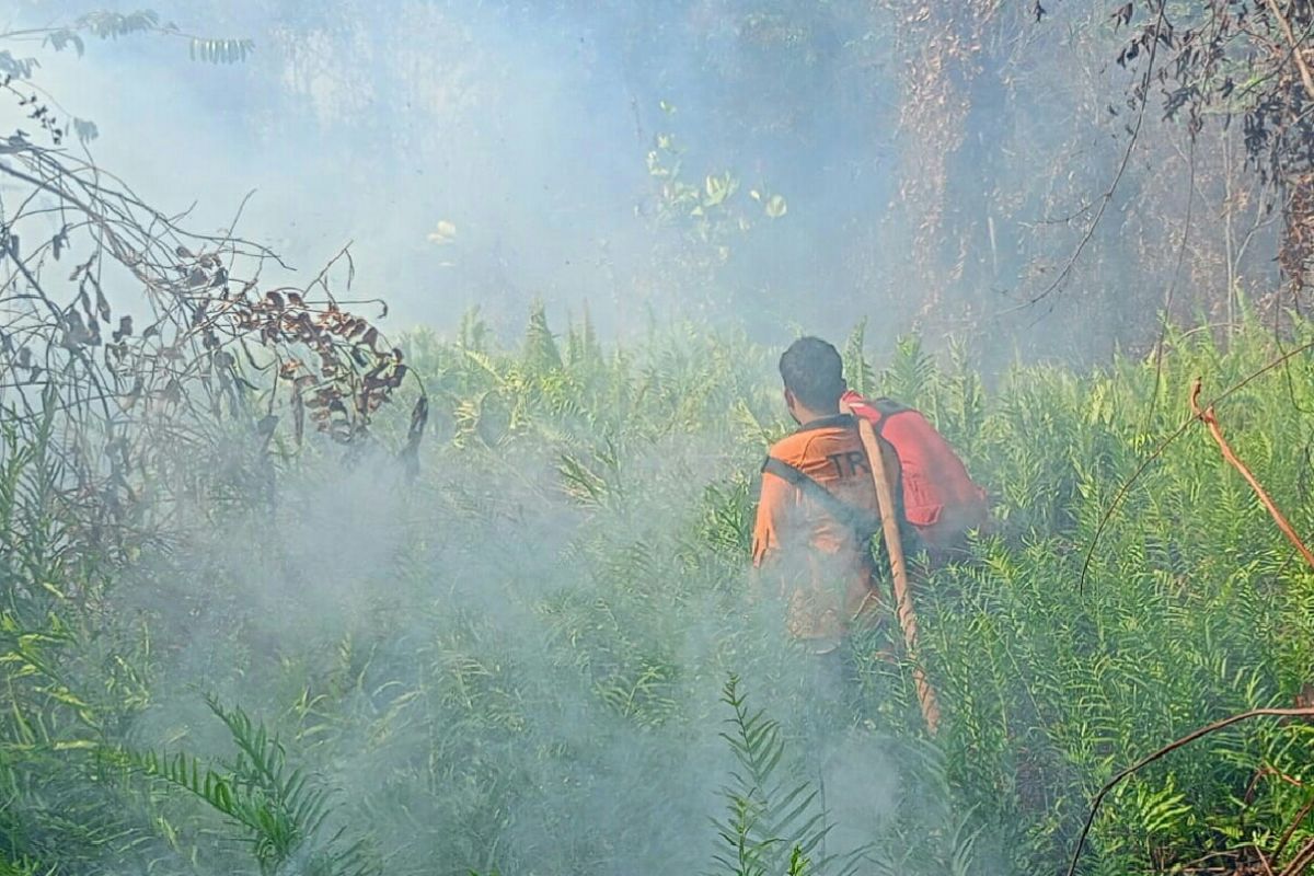 Tim gabungan padamkan karhutla di Penajam Paser Utara