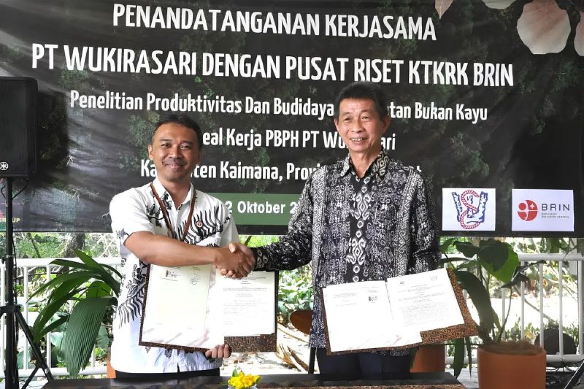 BRIN teliti produktivitas hasil hutan di Papua