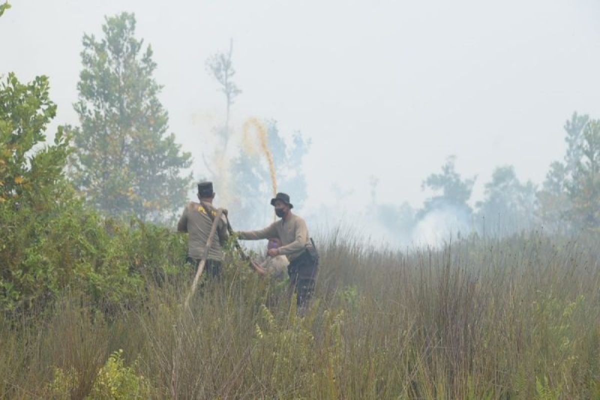 BPBD Palangka Raya tangani 730,11 hektare lahan gambut terbakar