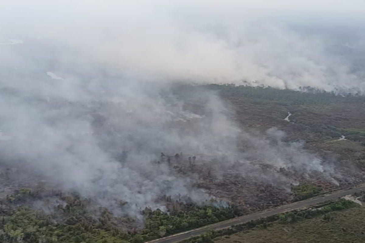 Palangka Raya tangani 713 hektare lebih lahan gambut terbakar