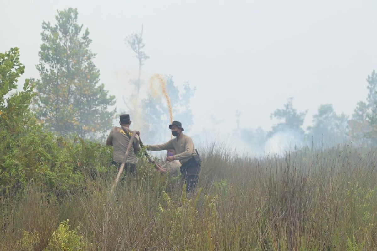 BPBD Kalteng bersama pihak terkait tangani 730,11 hektare lahan gambut yang terbakar