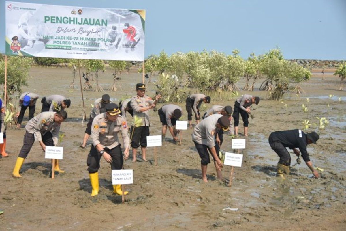 Tanah Laut Police plant mangroves on Takisung beach