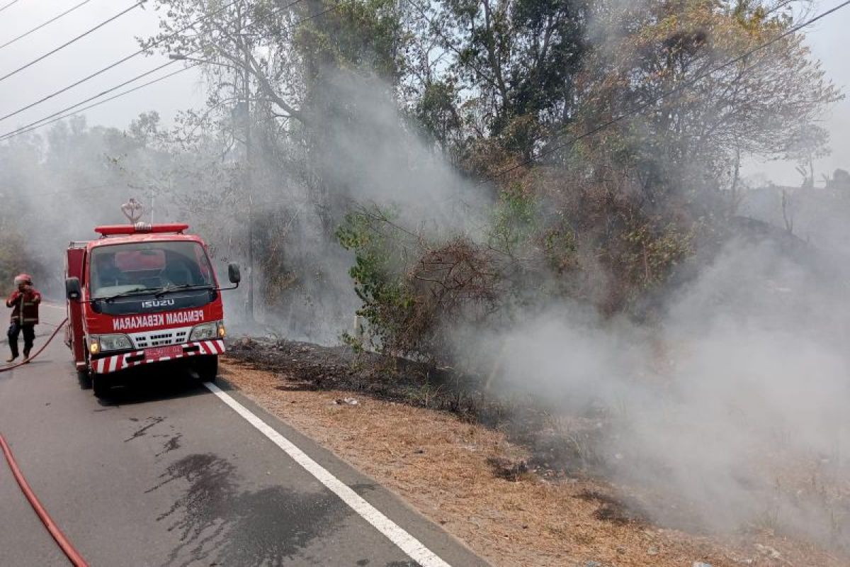 Damkar Lampung Selatan padamkan kebakaran lahan di Bakauheni