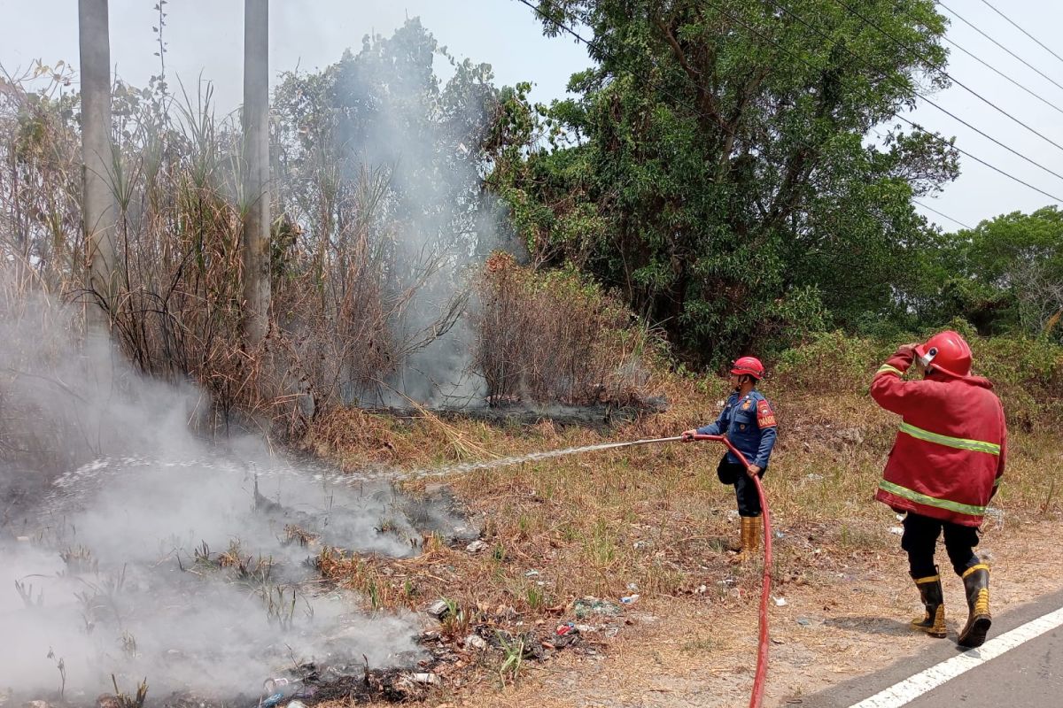 Damkar Lampung Selatan tangani tiga titik lokasi kebakaran lahan