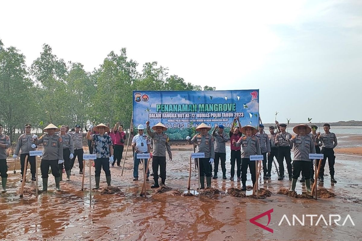 PT Timah - Polres Bangka Barat tanam bakau dukung 