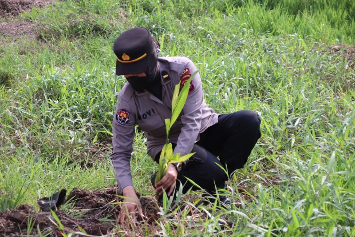 Polda Kalbar gelar aksi menanam 1.000 pohon untuk penghijauan