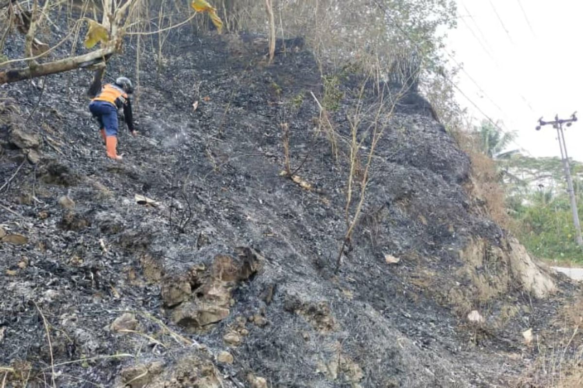 Kebakaran lahan di Cilacap cepat dipadamkan