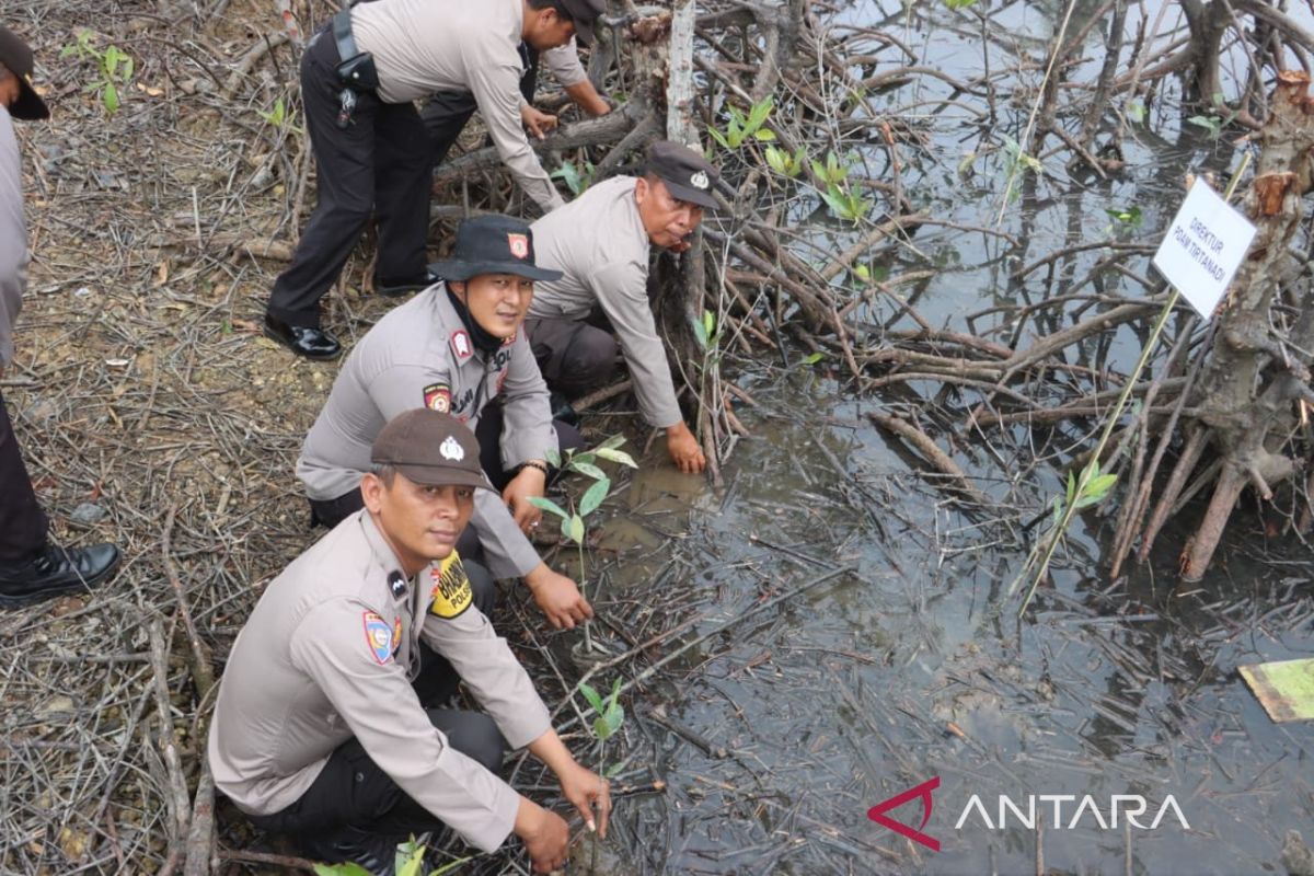 Pemprov dan Polda Sumut tanam 10 ribu magrove di pesisir Langkat