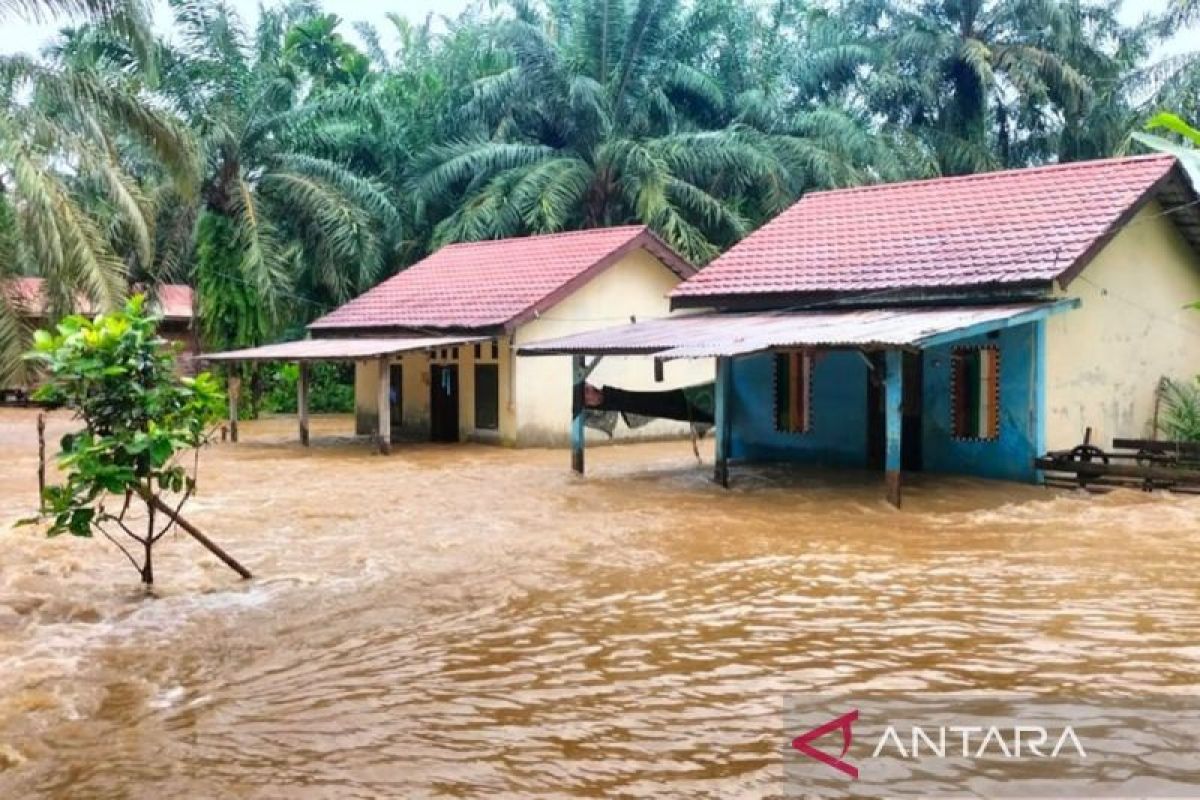 BPBA: Banjir capai dua meter rendam dua kecamatan di Aceh Singkil