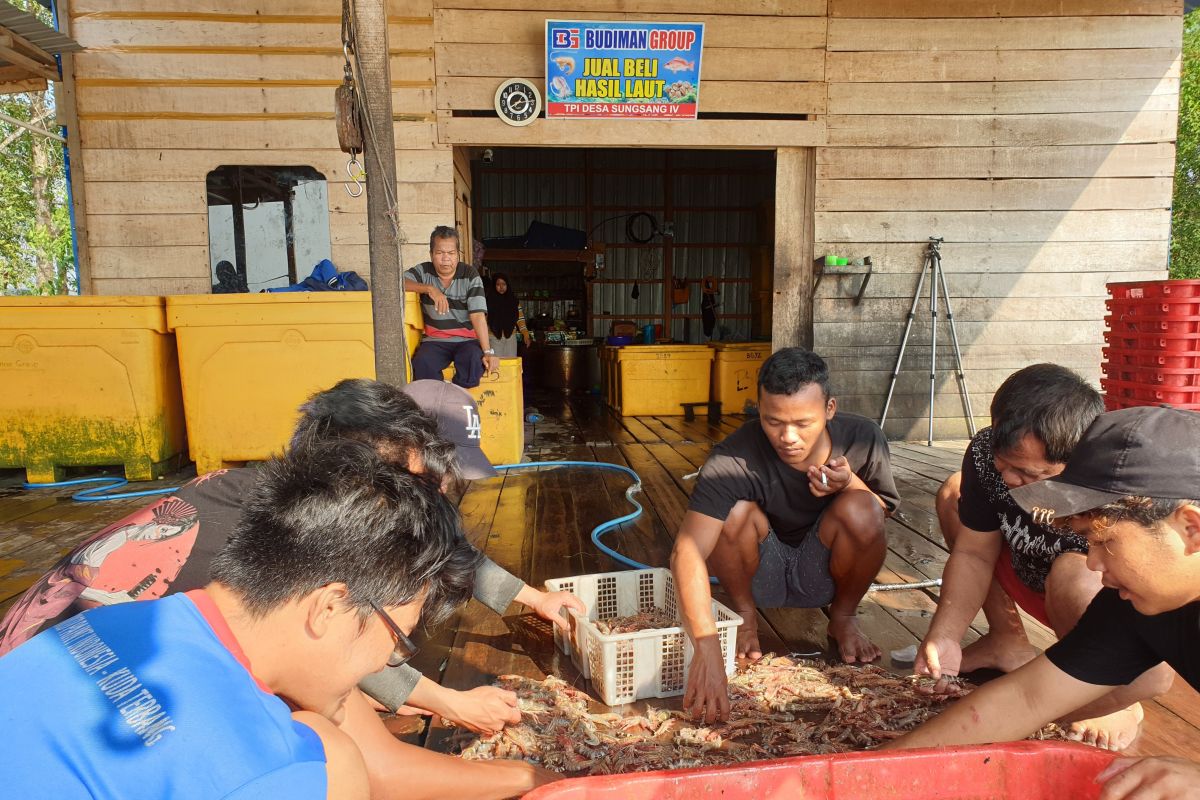 Pengepul hasil laut Banyuasin pasok ikan ke Palembang dan Babel