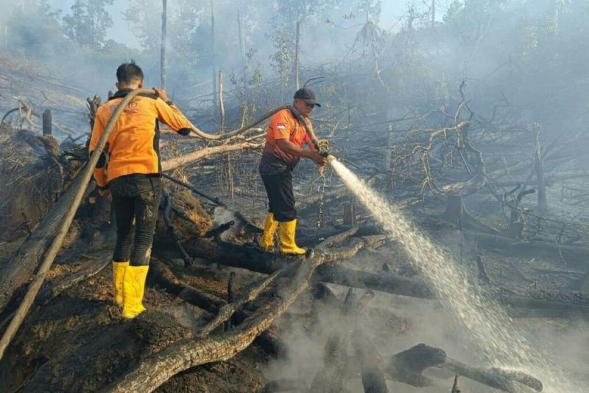 Jumlah titik panas di Kalimantan Timur turun dari 307 jadi 29