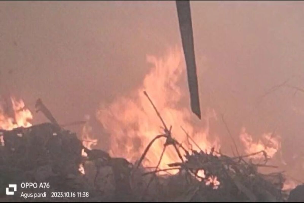Kebakaran lahan bambu berhasil dipadamkan Damkarmat Lampung Selatan