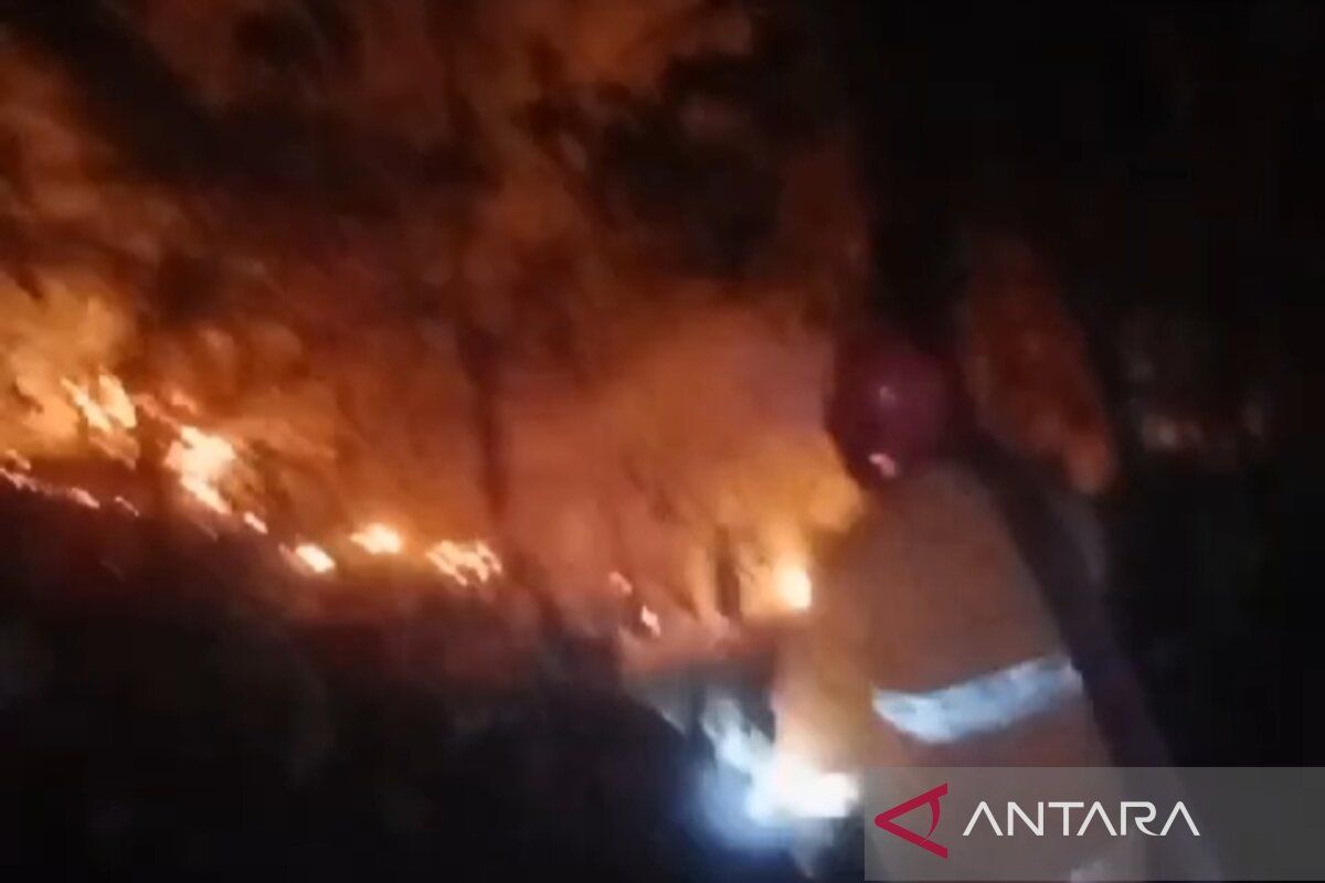 Damkar berupaya padamkan kebakaran lahan di Kalianda Lampung Selatan