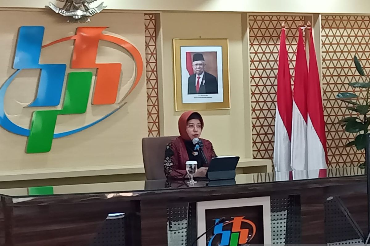 BPS: Vietnam dan Thailand jadi pemasok utama beras ke Indonesia