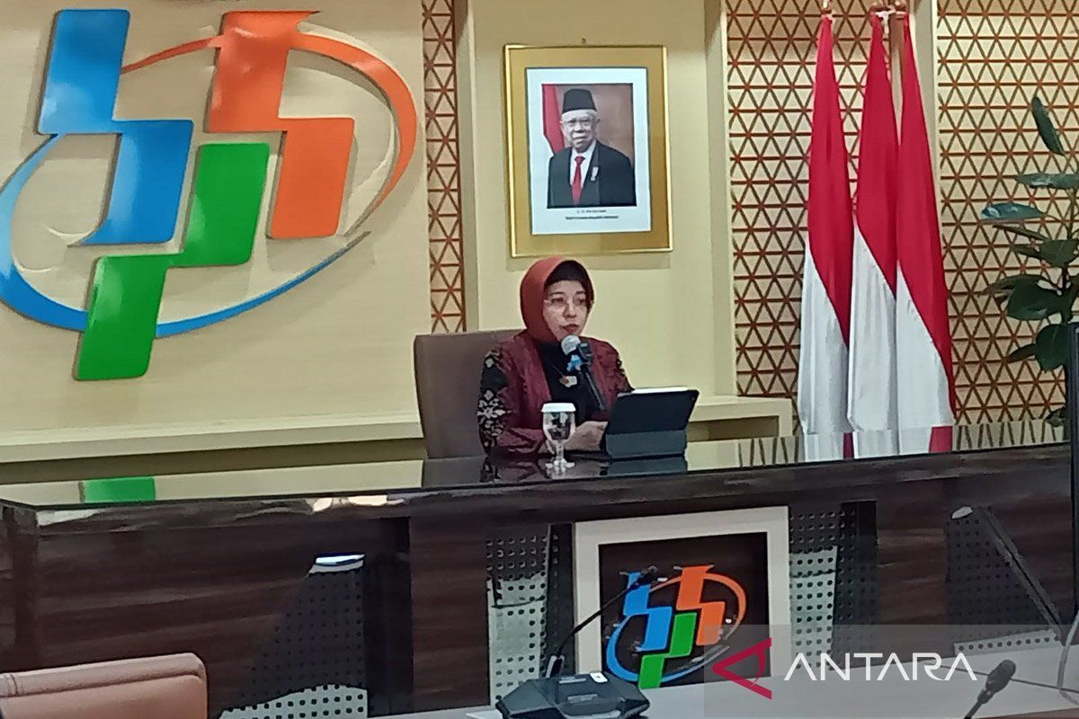 BPS: Vietnam dan Thailand jadi pemasok utama beras ke Indonesia