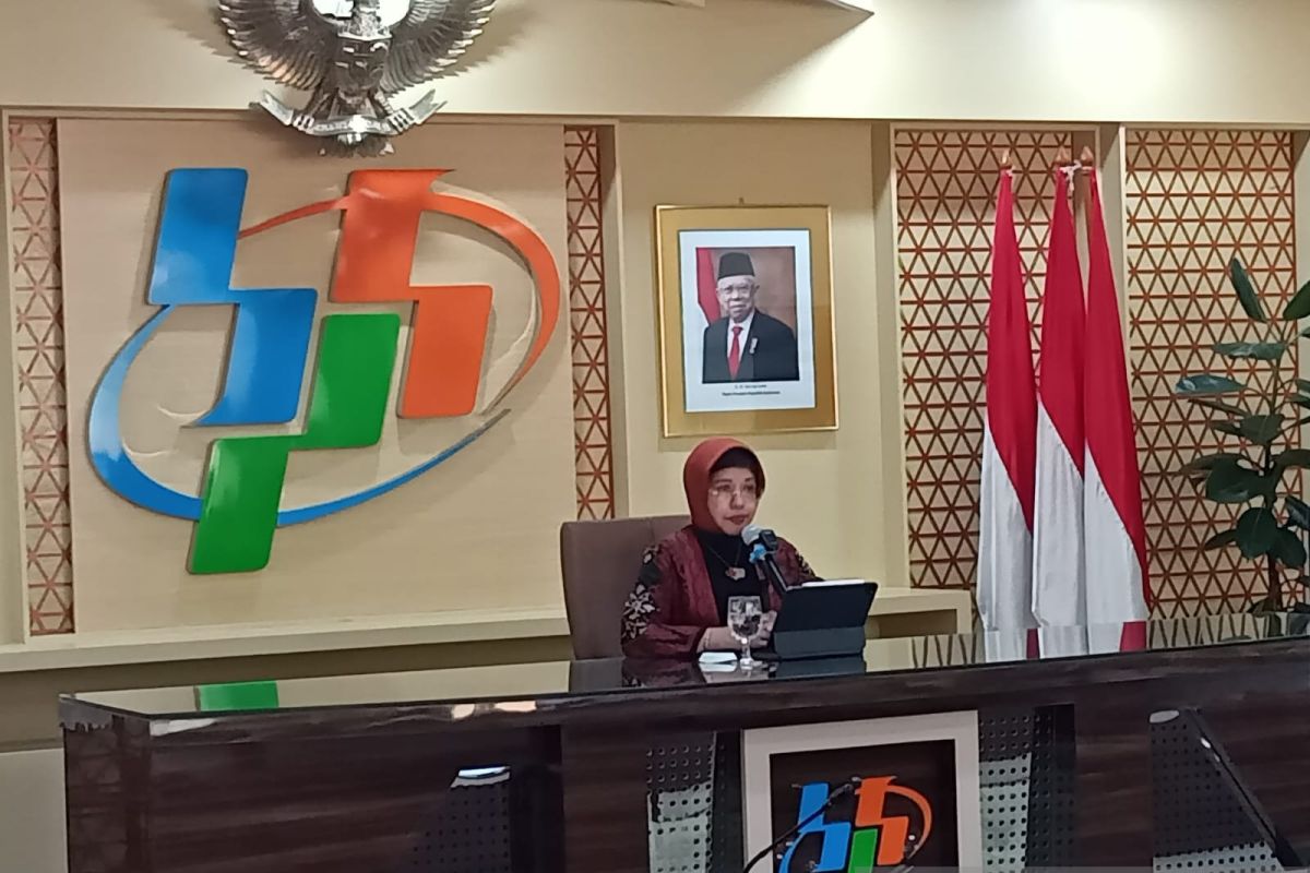 BPS sebut produksi beras tahun 2023 berpotensi anjlok 2,05%