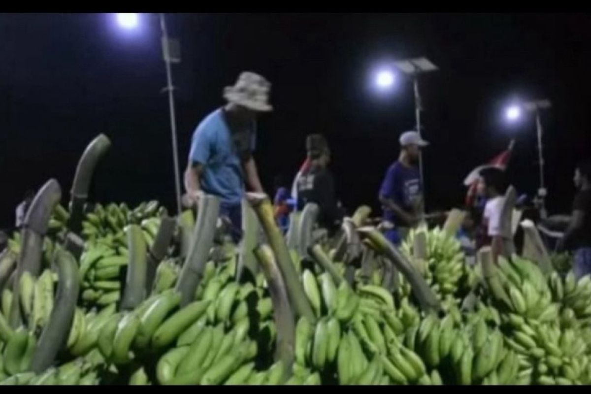 OJK sebut pembiayaan perbankan untuk komoditas pisang masih rendah
