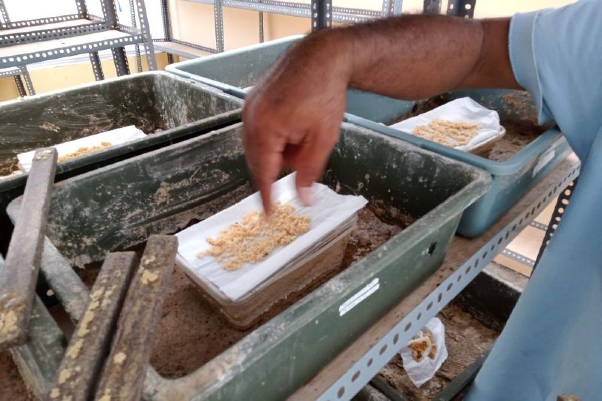 DLH Mataram-rumah makan menyiapkan kerja sama olah sampah sisa makanan