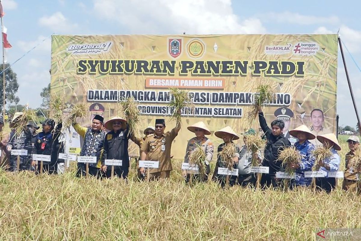 Kalsel kejar peningkatan produksi padi petani dengan tanam padi unggul