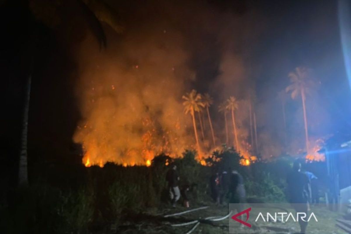 Tim gabungan padamkan kebakaran hutan di Natuna