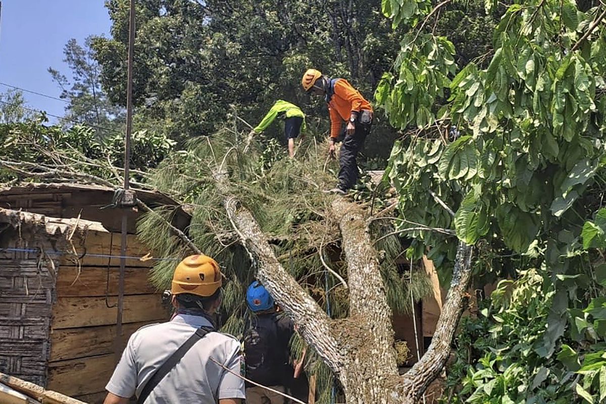 Angin kencang menumbangkan beberapa pohon di Kota Batu