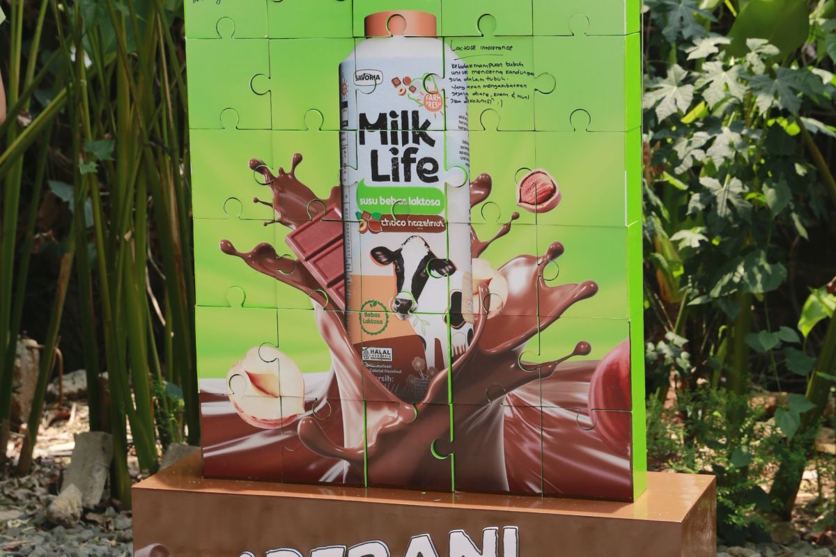 MilkLife luncurkan susu bebas laktosa Choco Hazelnut