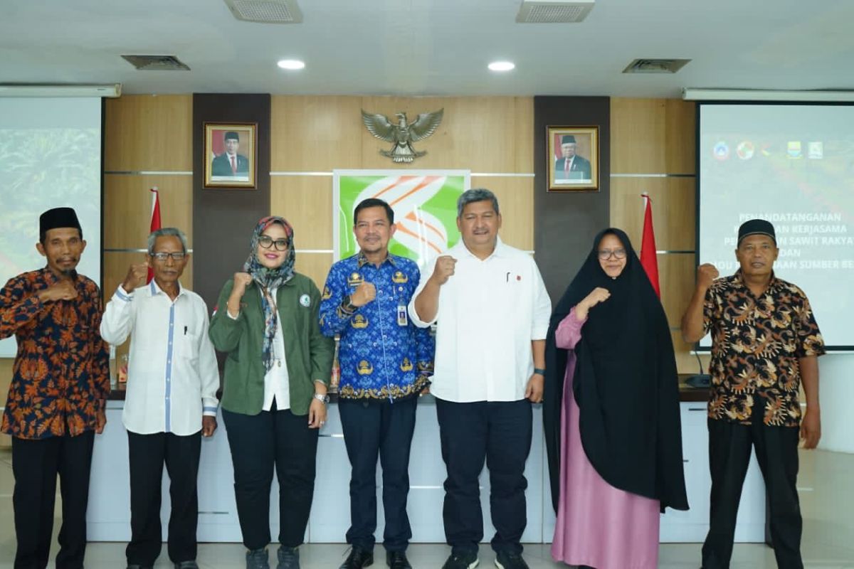 PTPN VI remajakan tiga lahan perkebunan KUD di Jambi