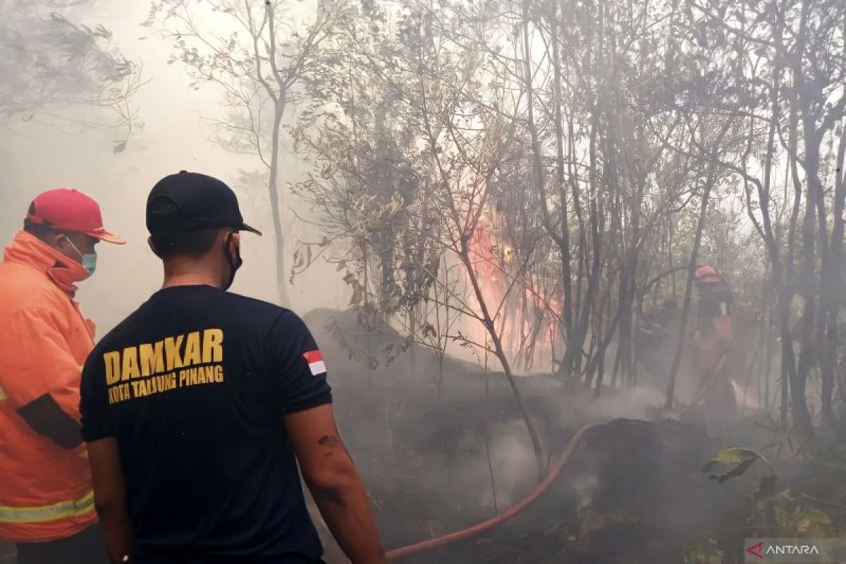 DPKP: Kasus kebakaran di Tanjungpinang didominasi karhutla