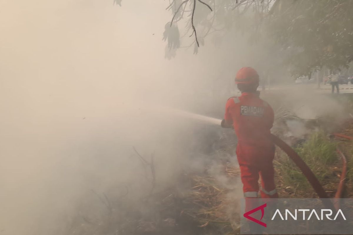 Kemarin, Lampung Selatan tangani 10 kejadian kebakaran dalam satu hari