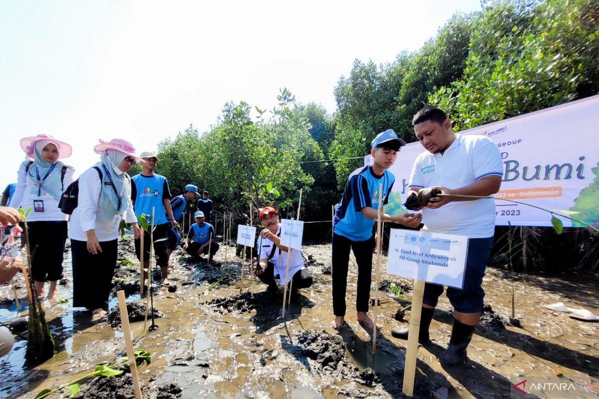 Pelajar SMK di Situbondo tanam ratusan bibit bakau dukung konservasi
