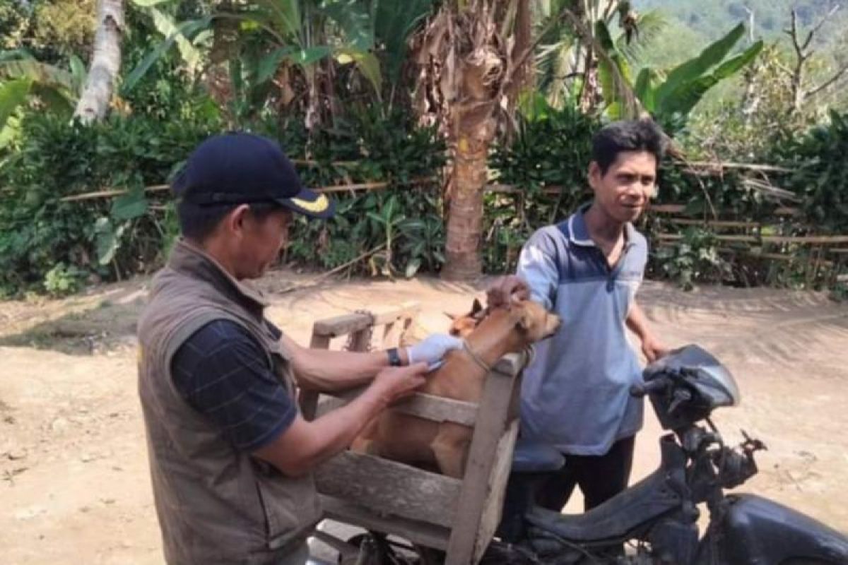 Distankan Rejang Lebong ajukan pengadaan 5.000 dosis vaksin HPR