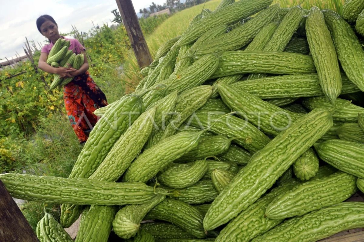 Ministry stresses need to boost harvests, build robust food ecosystem