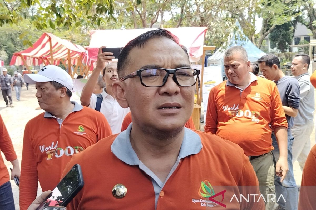 Pemkab Bogor kampanyekan pangan lokal pengganti nasi di Hari Pangan Sedunia