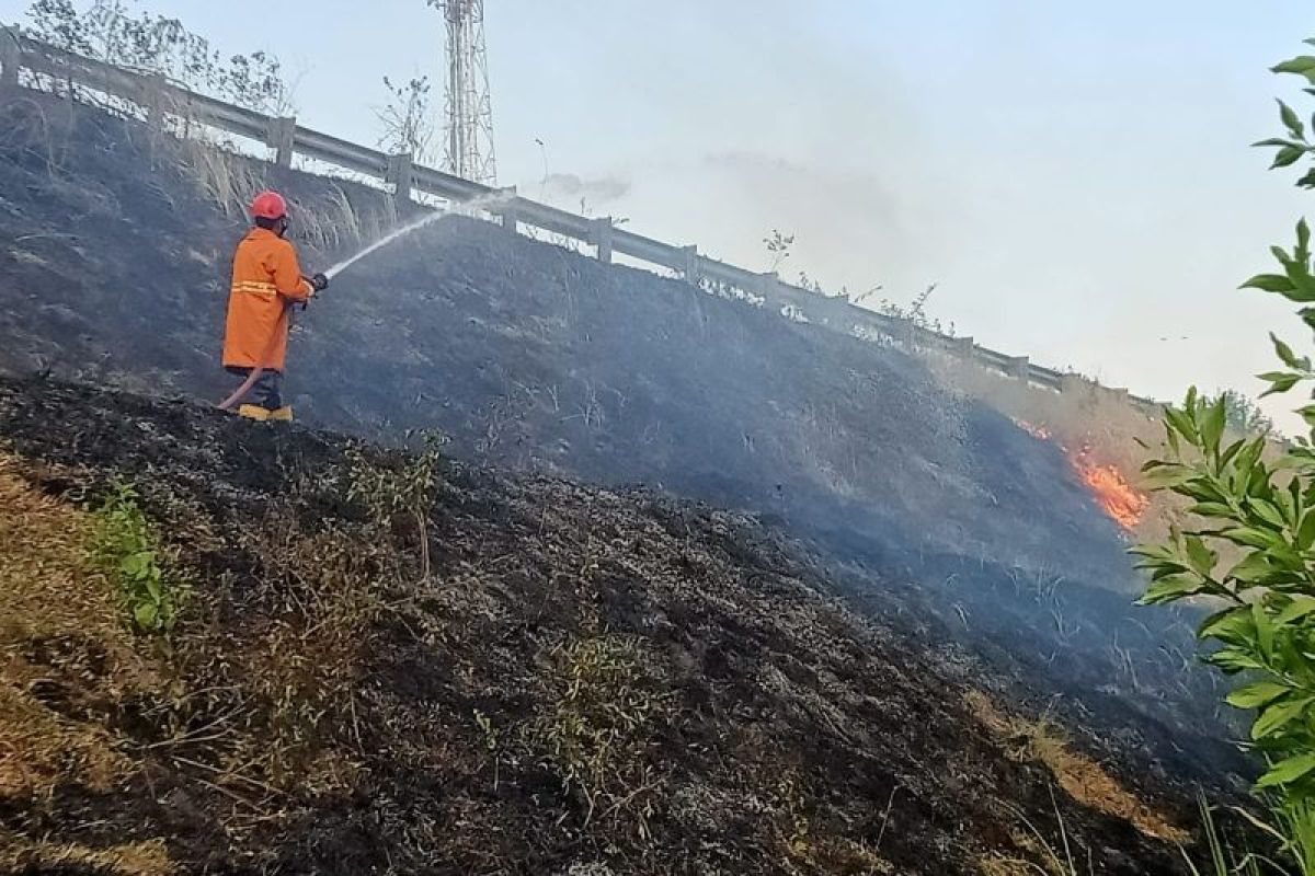 Damkar Lampung Selatan berhasil padamkan kebakaran lahan di tol km 99