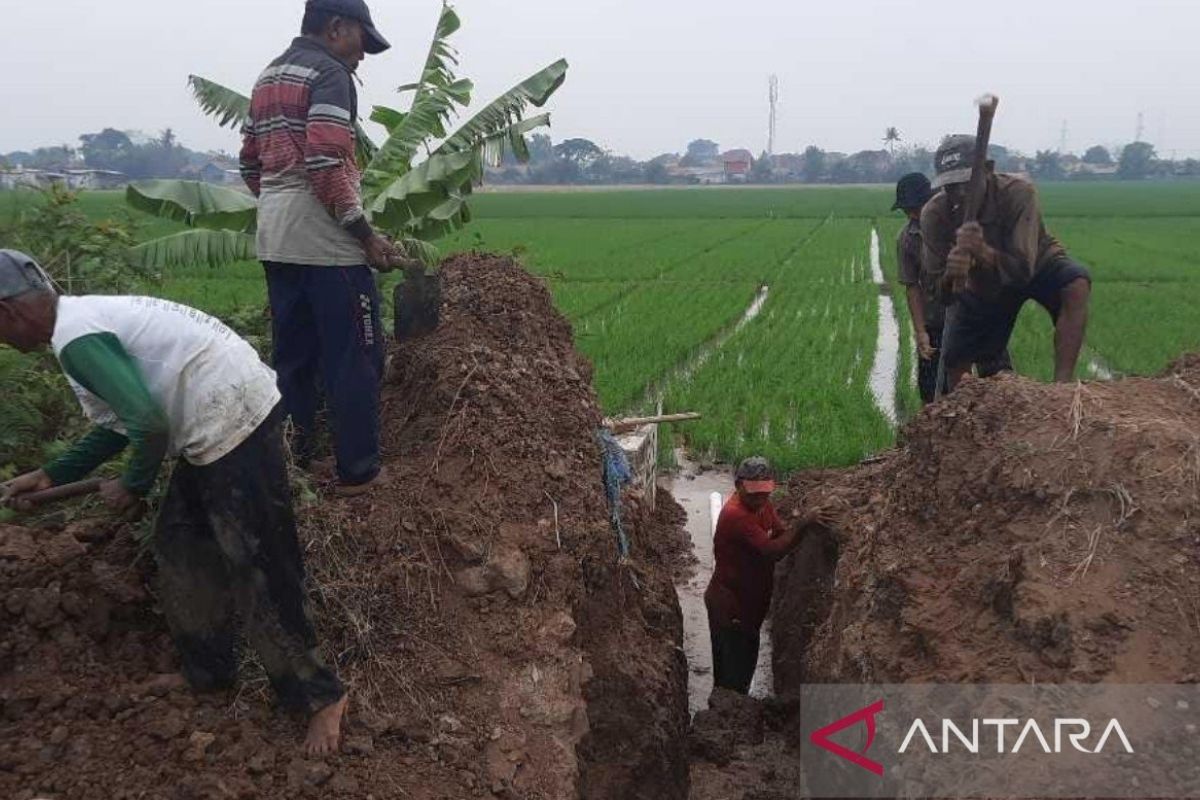 Pemkab Bekasi masifkan distribusi air ke lahan pertanian