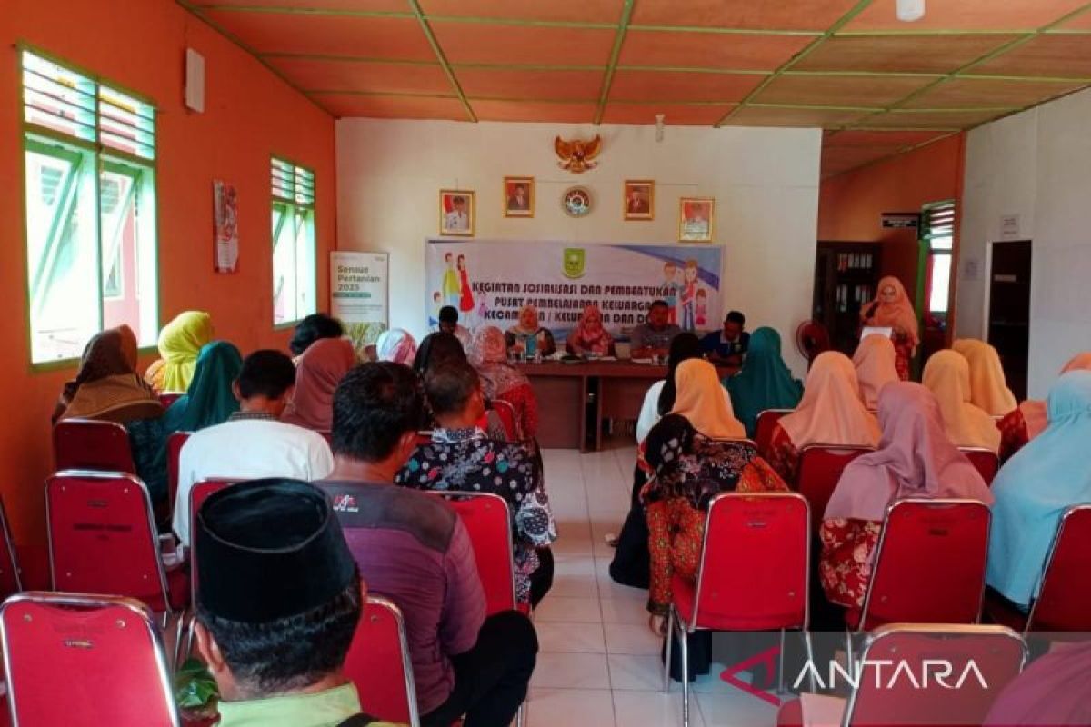 Pemkab Natuna sediakan lembaga layanan konsultasi masalah keluarga