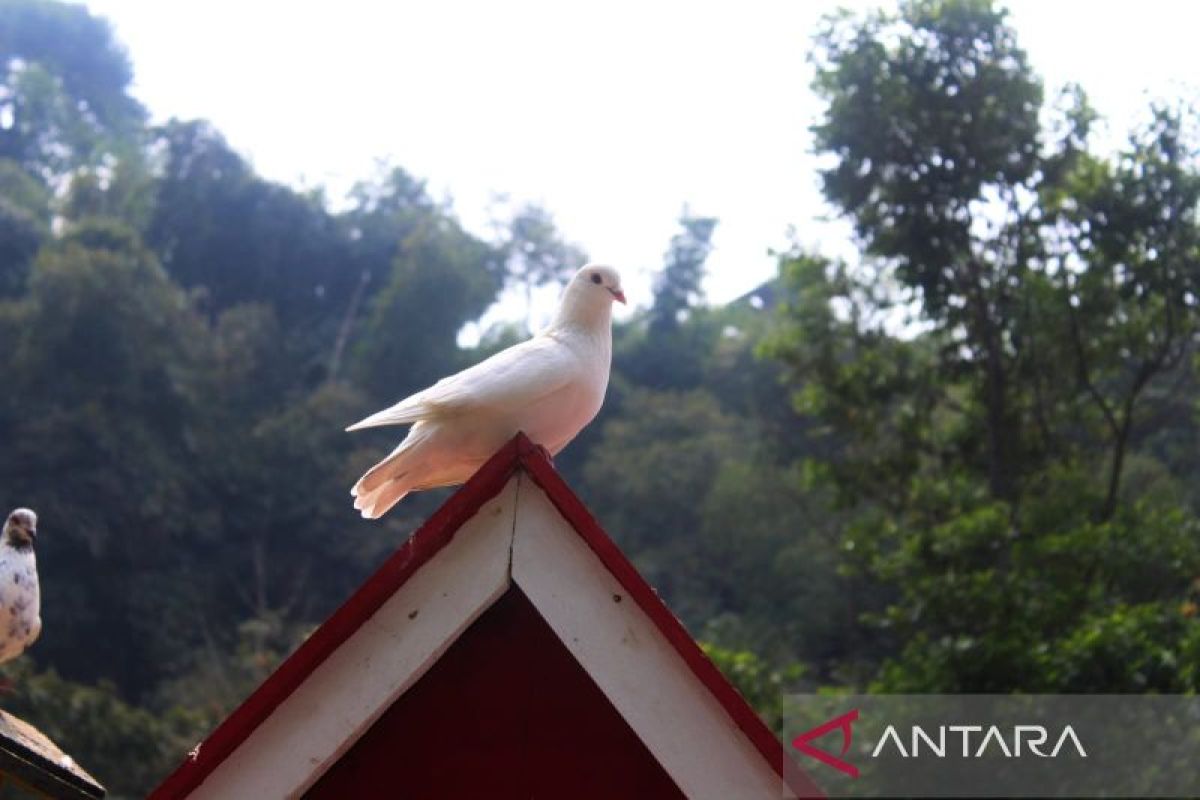 Penataan lingkungan jadi syarat mutlak kawasan skala kota