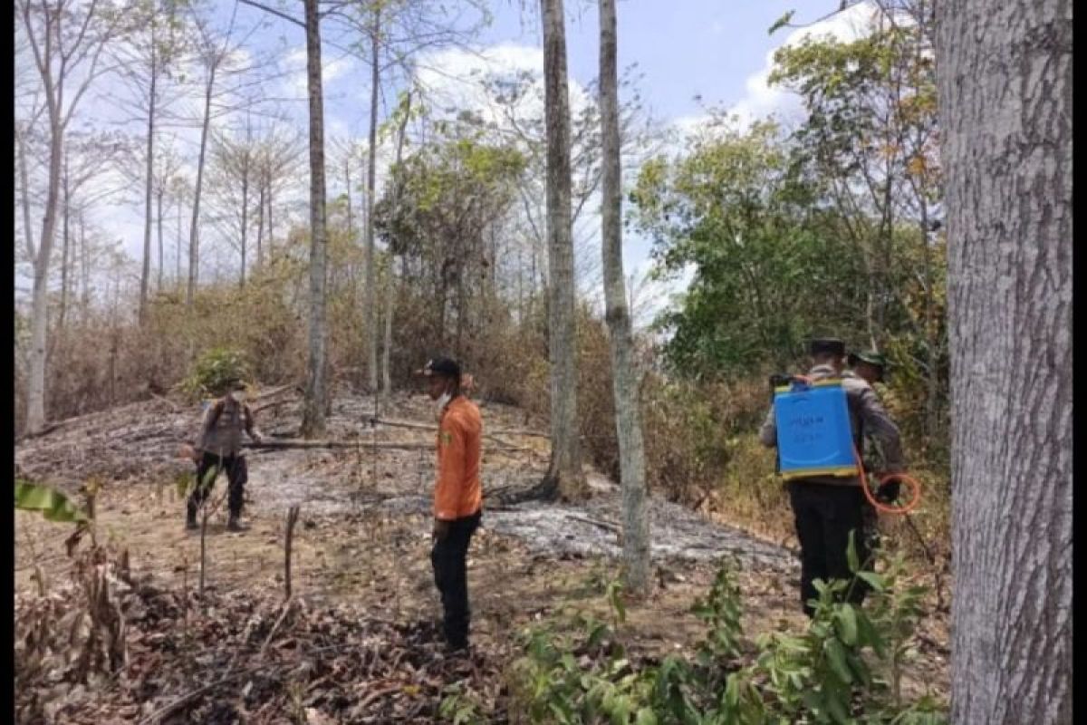 TNI/Polri padamkan kebakaran lahan di Tanggamus dengan semprotan tanaman