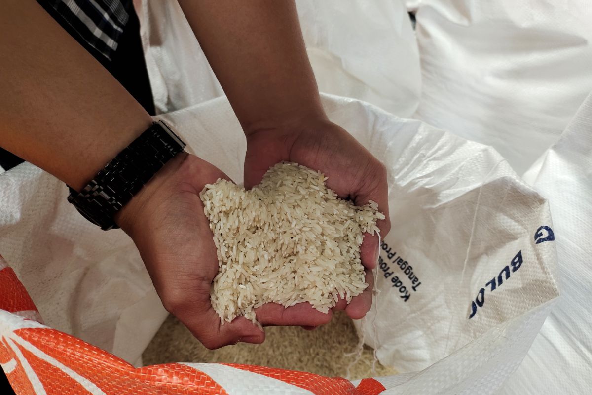 Penyaluran bantuan pangan beras tahap dua Lampung capai 12.895.130 kilogram