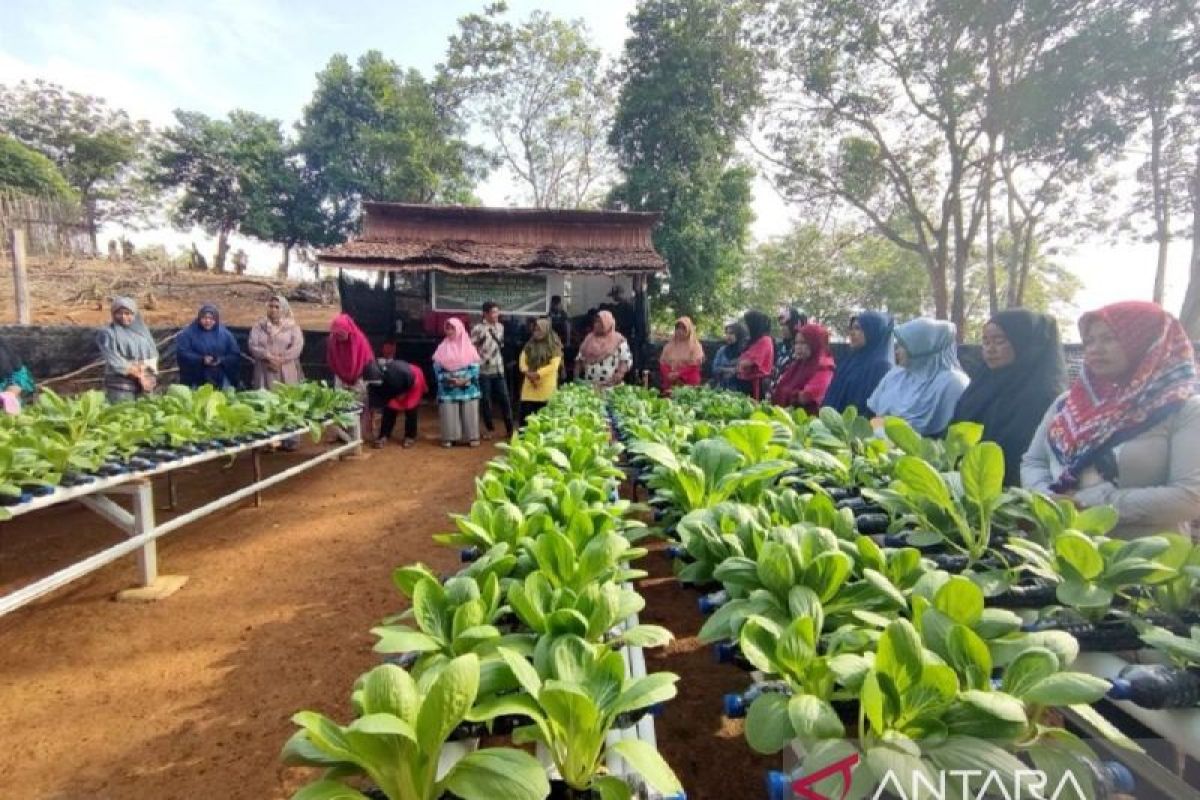 PT Timah Tbk Mendukung Kemandirian Ekonomi Masyarakat di Lingkar Tambang